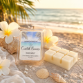 Kandie's Scents Coastal Breeze wax melt on sand with flowers and shells