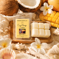 Candle wax melt packaging with coconut, mango, and shell elements on a sandy background.