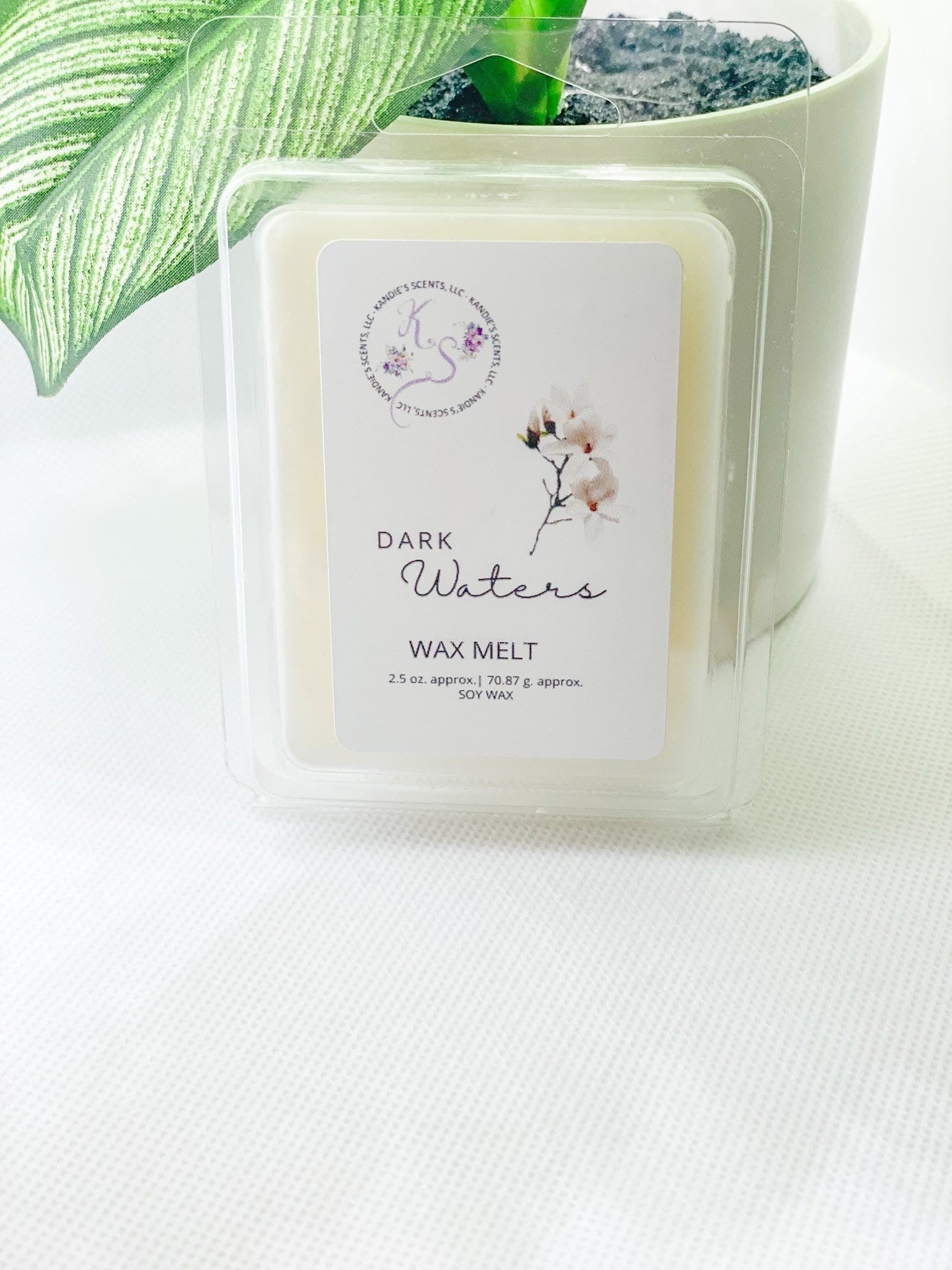 Dark Waters wax melts with salty ocean and dark musk fragrance