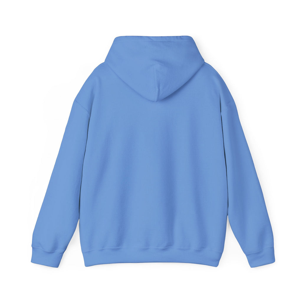 Blue hoodie shown from the back on a white background