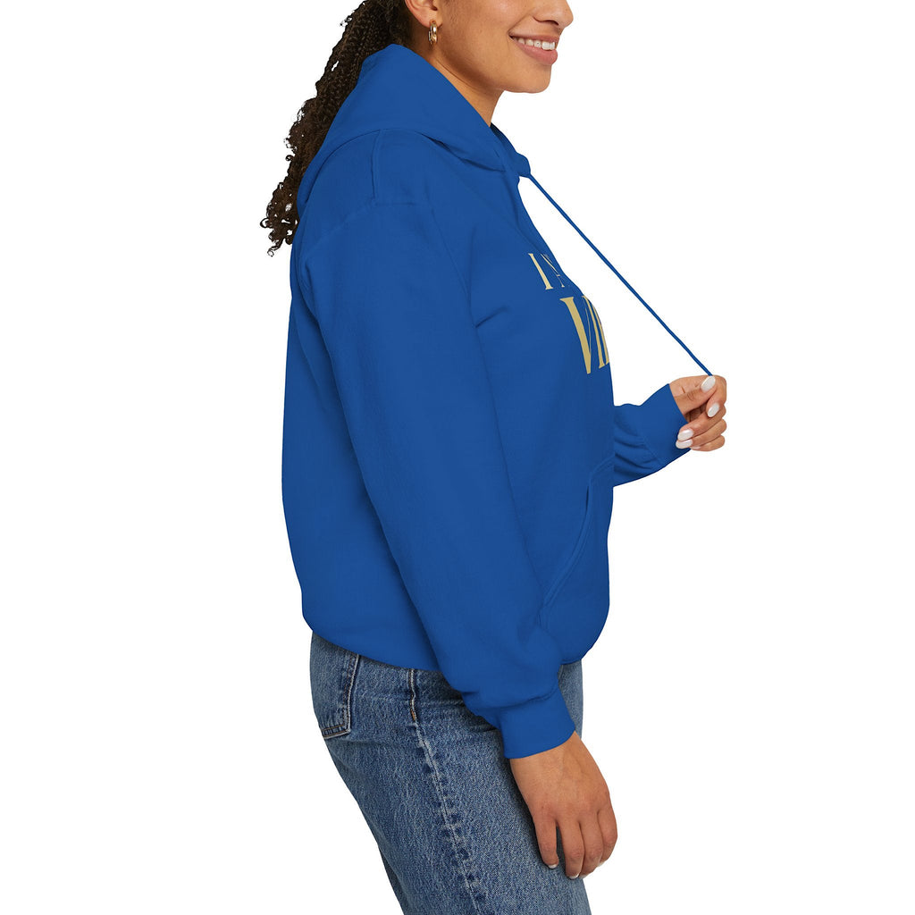 Person wearing a blue hoodie on a white background