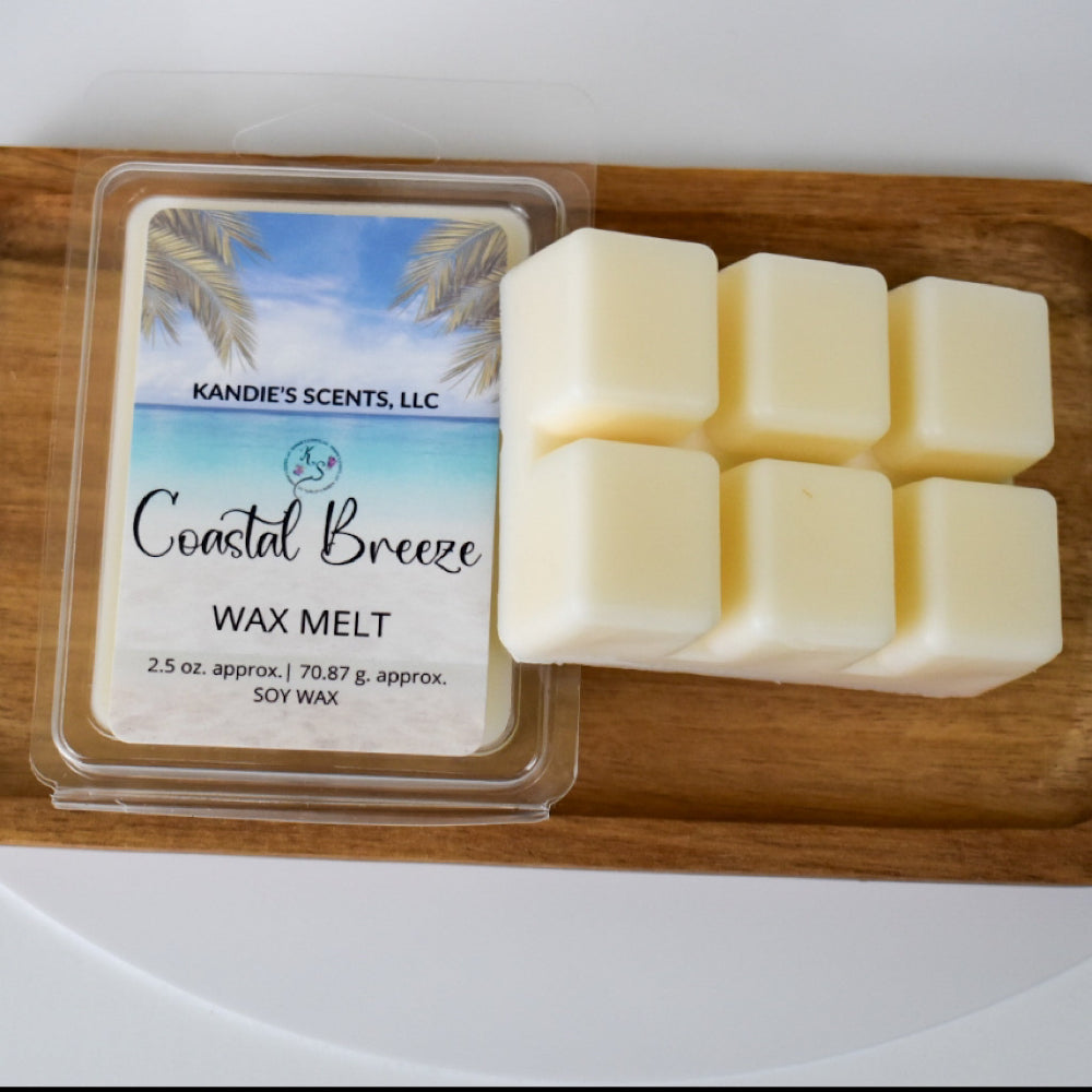 Soy wax melts in coastal fragrance blend with driftwood