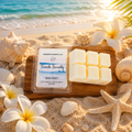 Wax melts with packaging on a sandy beach with flowers and shells.