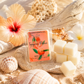 Wax melt packaging with 'Tangerine Passion' label on a beach-themed background with flowers and shells.